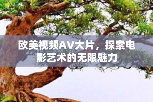欧美视频AV大片，探索电影艺术的无限魅力