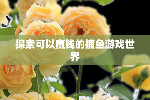 探索可以赢钱的捕鱼游戏世界 探索可以赢钱的捕鱼游戏世界