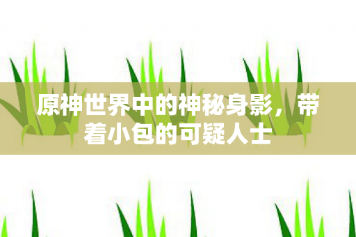 原神世界中的神秘身影,带着小包的可疑人士 原神世界中的神秘身影,带着小包的可疑人士