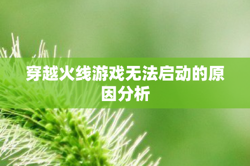 穿越火线游戏无法启动的原因分析