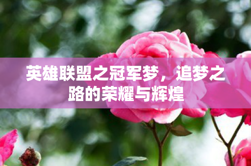 英雄联盟之冠军梦,追梦之路的荣耀与辉煌 英雄联盟之冠军梦,追梦之路的荣耀与辉煌