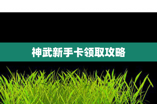 神武新手卡领取攻略 神武新手卡领取攻略