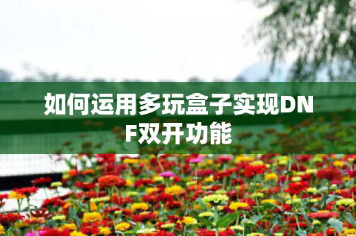 如何运用多玩盒子实现DNF双开功能 如何运用多玩盒子实现DNF双开功能