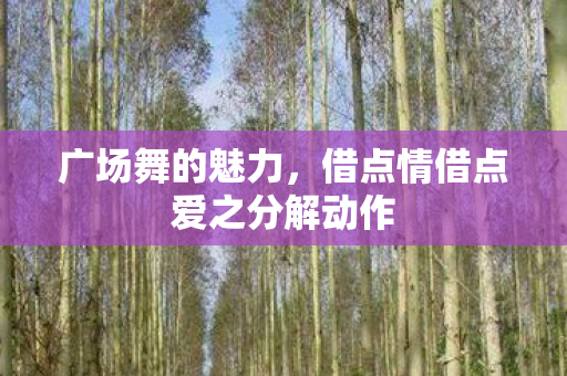 广场舞的魅力,借点情借点爱之分解动作 广场舞的魅力,借点情借点爱之分解动作