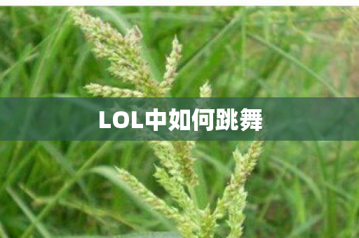 LOL中如何跳舞 LOL中如何跳舞
