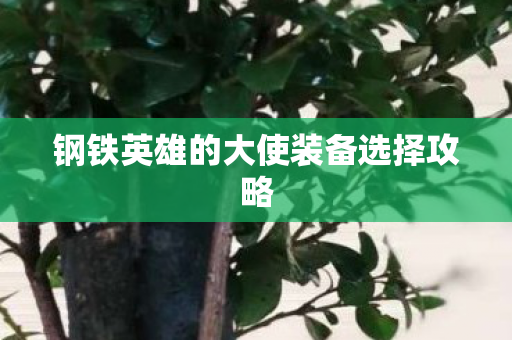 钢铁英雄的大使装备选择攻略 钢铁英雄的大使装备选择攻略
