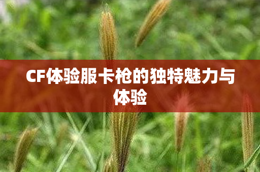 CF体验服卡枪的独特魅力与体验