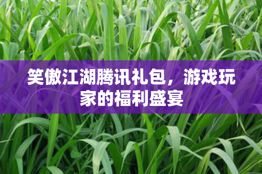 笑傲江湖腾讯礼包,游戏玩家的福利盛宴 笑傲江湖腾讯礼包,游戏玩家的福利盛宴