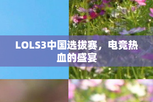 LOLS3中国选拔赛,电竞热血的盛宴 LOLS3中国选拔赛,电竞热血的盛宴