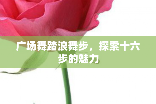 广场舞踏浪舞步,探索十六步的魅力 广场舞踏浪舞步,探索十六步的魅力