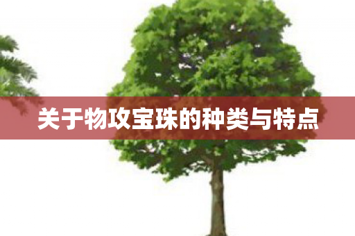 关于物攻宝珠的种类与特点