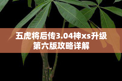 五虎将后传3.04神xs升级第六版攻略详解 五虎将后传3.04神xs升级第六版攻略详解