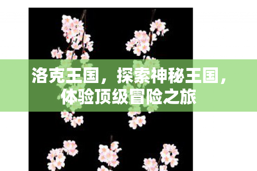洛克王国，探索神秘王国，体验顶级冒险之旅