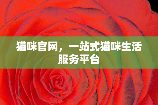 猫咪官网,一站式猫咪生活服务平台 猫咪官网,一站式猫咪生活服务平台