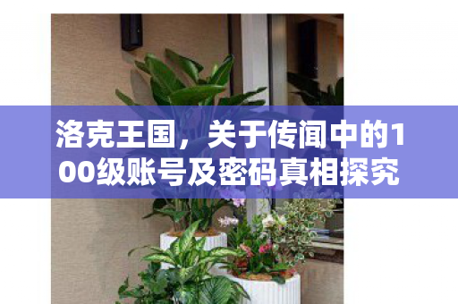 洛克王国，关于传闻中的100级账号及密码真相探究