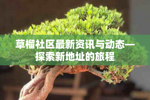 草榴社区最新资讯与动态—探索新地址的旅程 草榴社区最新资讯与动态—探索新地址的旅程