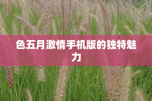 色五月激情手机版的独特魅力