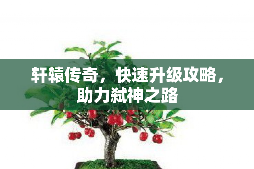 轩辕传奇,快速升级攻略,助力弑神之路 轩辕传奇,快速升级攻略,助力弑神之路