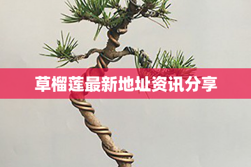 草榴莲最新地址资讯分享 草榴莲最新地址资讯分享