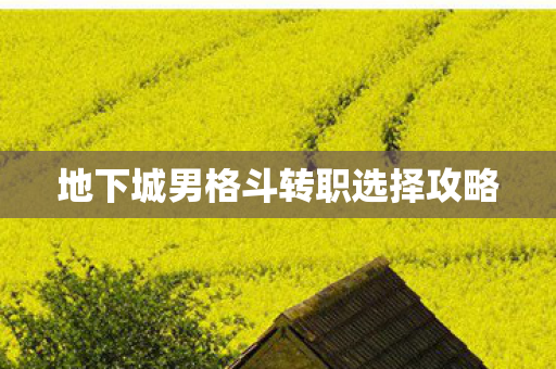 地下城男格斗转职选择攻略 地下城男格斗转职选择攻略