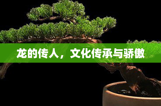 龙的传人,文化传承与骄傲 龙的传人,文化传承与骄傲
