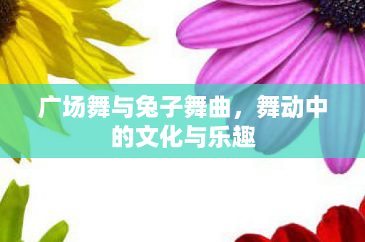 广场舞与兔子舞曲,舞动中的文化与乐趣 广场舞与兔子舞曲,舞动中的文化与乐趣