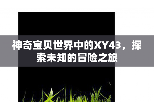 神奇宝贝世界中的XY43,探索未知的冒险之旅 神奇宝贝世界中的XY43,探索未知的冒险之旅