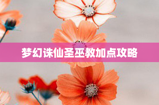 梦幻诛仙圣巫教加点攻略