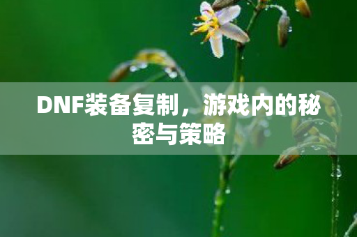DNF装备复制,游戏内的秘密与策略 DNF装备复制,游戏内的秘密与策略