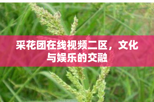 采花团在线视频二区,文化与娱乐的交融 采花团在线视频二区,文化与娱乐的交融