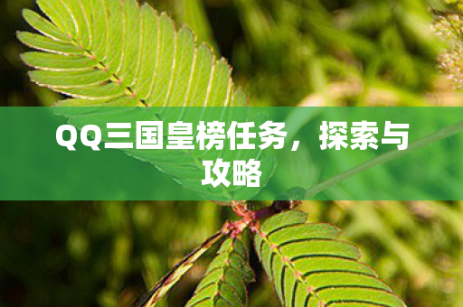 QQ三国皇榜任务,探索与攻略 QQ三国皇榜任务,探索与攻略
