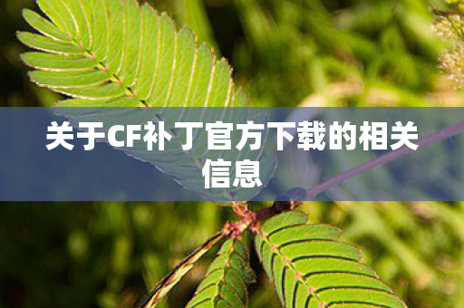关于CF补丁官方下载的相关信息 关于CF补丁官方下载的相关信息