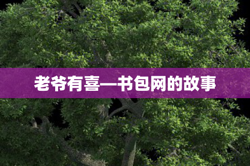 老爷有喜—书包网的故事 老爷有喜—书包网的故事