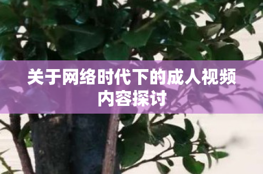 关于网络时代下的成人视频内容探讨 关于网络时代下的成人视频内容探讨