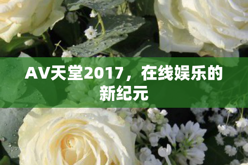 AV天堂2017，在线娱乐的新纪元