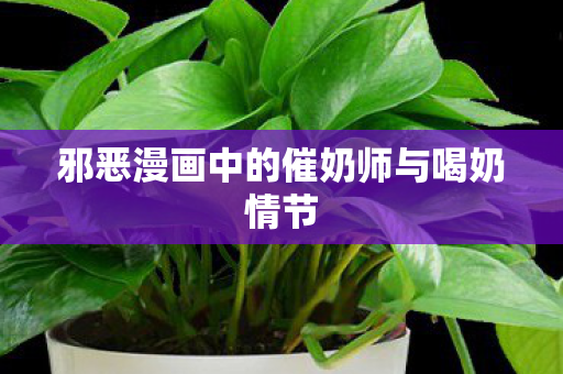 邪恶漫画中的催奶师与喝奶情节