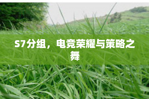 S7分组,电竞荣耀与策略之舞 S7分组,电竞荣耀与策略之舞