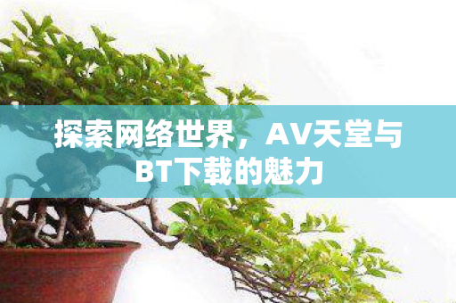 探索网络世界,AV天堂与BT下载的魅力 探索网络世界,AV天堂与BT下载的魅力