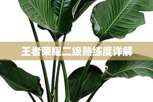 王者荣耀二级熟练度详解 王者荣耀二级熟练度详解