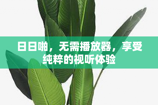 日日啪,无需播放器,享受纯粹的视听体验 日日啪,无需播放器,享受纯粹的视听体验