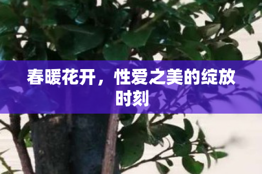 春暖花开,性爱之美的绽放时刻 春暖花开,性爱之美的绽放时刻