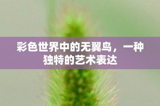 彩色世界中的无翼鸟,一种独特的艺术表达 彩色世界中的无翼鸟,一种独特的艺术表达