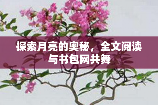 探索月亮的奥秘,全文阅读与书包网共舞 探索月亮的奥秘,全文阅读与书包网共舞