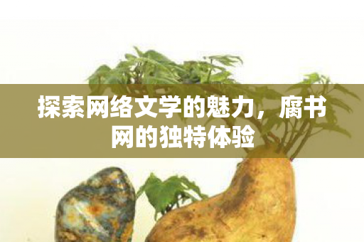 探索网络文学的魅力,腐书网的独特体验 探索网络文学的魅力,腐书网的独特体验