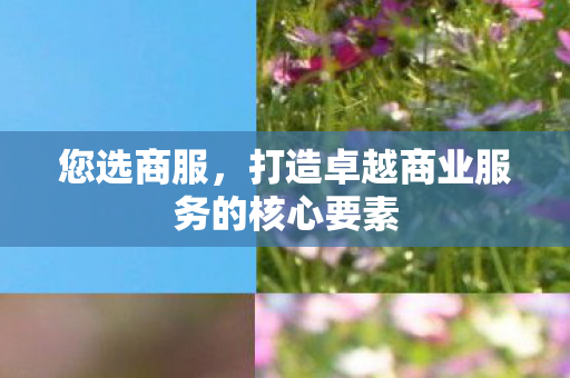 您选商服,打造卓越商业服务的核心要素 您选商服,打造卓越商业服务的核心要素