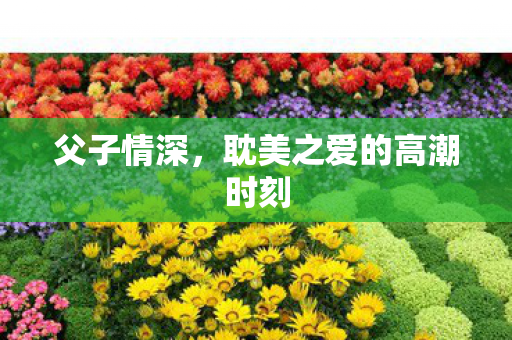 父子情深,耽美之爱的高潮时刻 父子情深,耽美之爱的高潮时刻