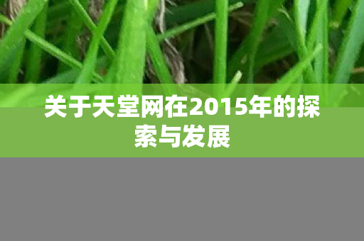 关于天堂网在2015年的探索与发展 关于天堂网在2015年的探索与发展