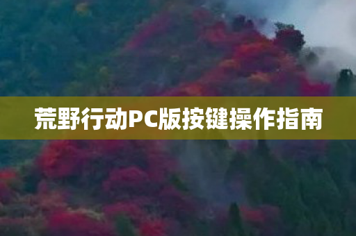 荒野行动PC版按键操作指南