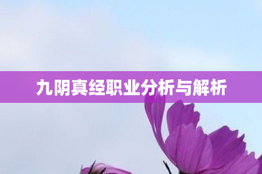 九阴真经职业分析与解析