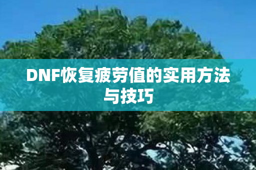 DNF恢复疲劳值的实用方法与技巧 DNF恢复疲劳值的实用方法与技巧